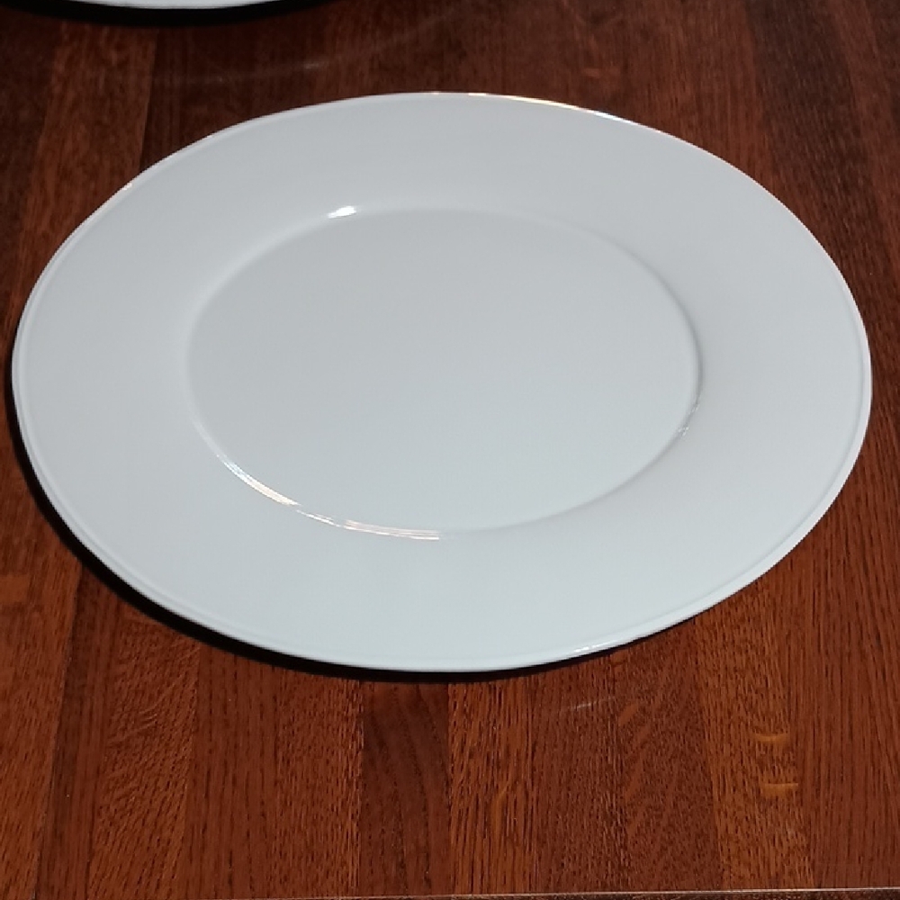 Pottery Barn Ceramic Addison Charger Chop Plate Wide Rim b500